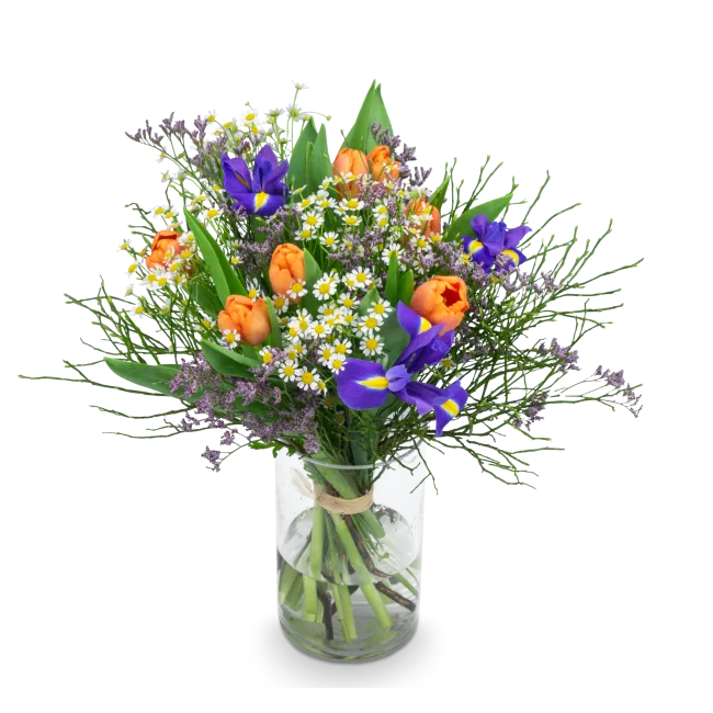 Bouquet of spring flowers
